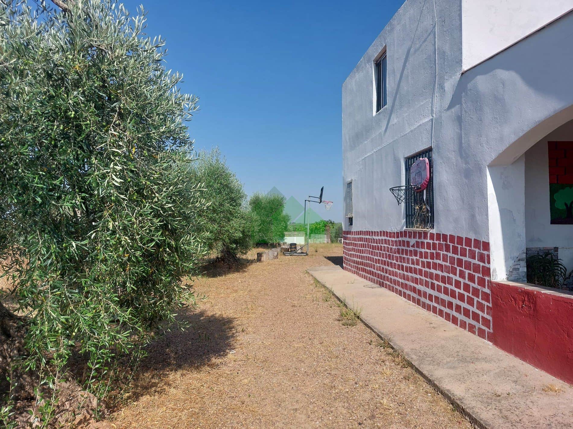 C-1003: CASA+TERRENO TOTALMENTE VALLADO EN CARRETERA DE LA NAVA. MONTIJO - Foto 2