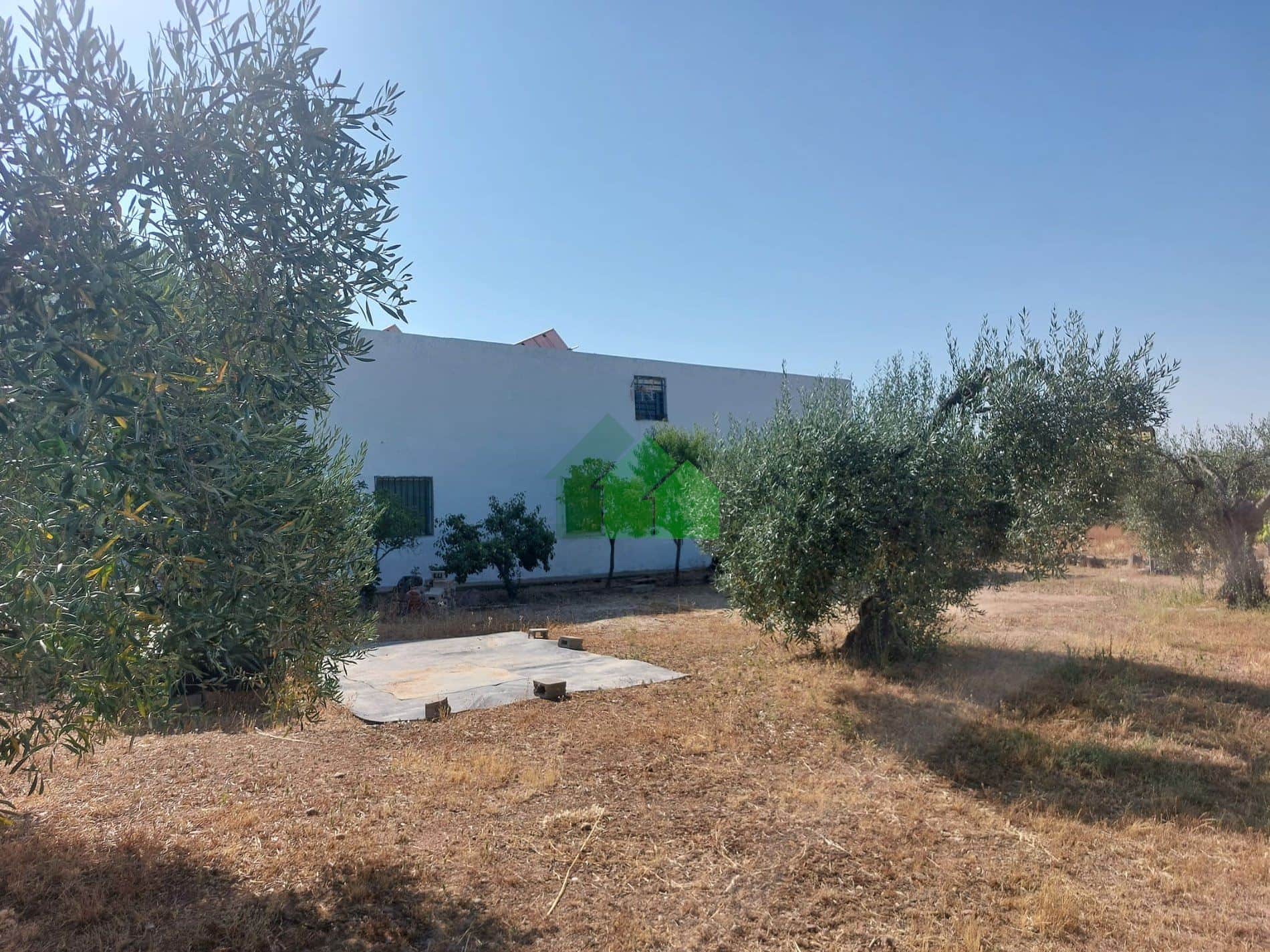 C-1003: CASA+TERRENO TOTALMENTE VALLADO EN CARRETERA DE LA NAVA. MONTIJO - Foto 4