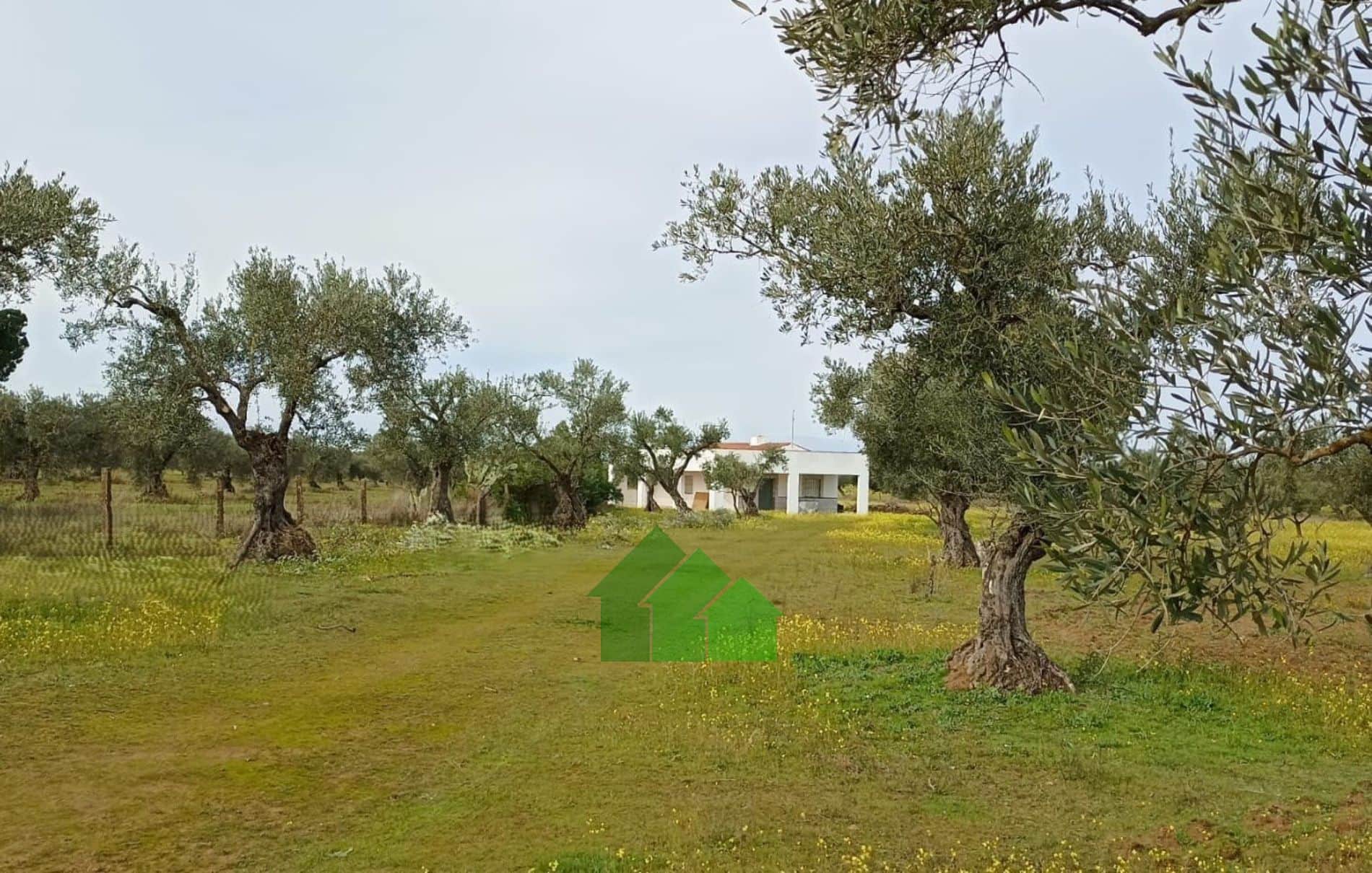 Chalet - Montijo - Foto 1