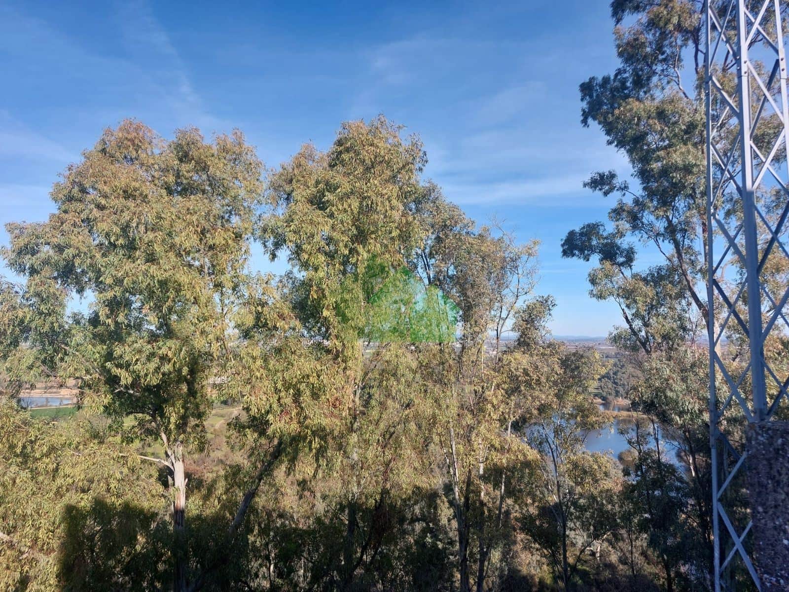 C-975: VENTA DE CASA PARA GRAN REFORMA O DERRIBO CON FACHADA A DOS CALLES. LOBON - Foto 5