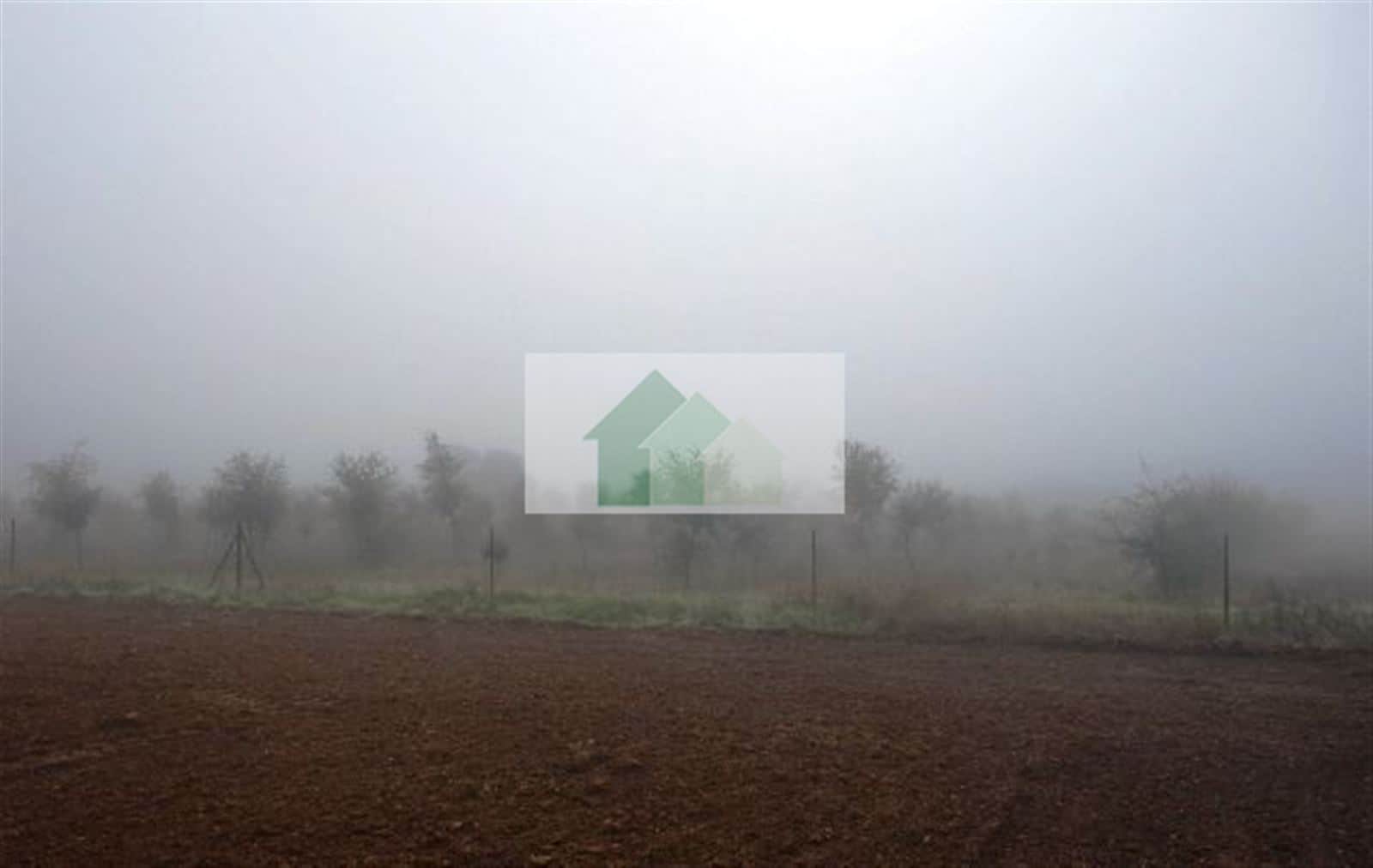 VENTA DE TERRENO VALLADO CON NAVE AGRICOLA .... - Foto 3