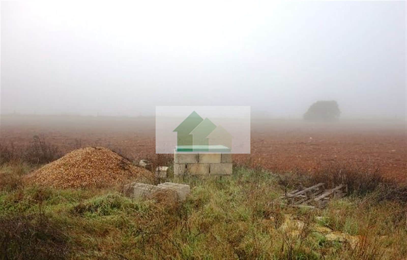 VENTA DE TERRENO VALLADO CON NAVE AGRICOLA .... - Foto 4