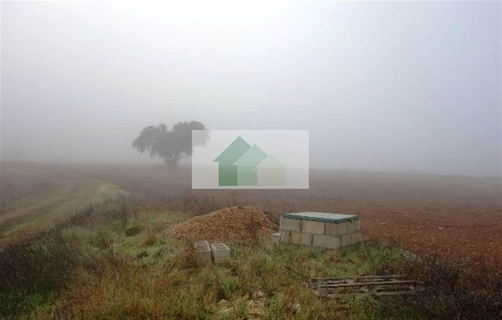 VENTA DE TERRENO VALLADO CON NAVE AGRICOLA .... - Foto 5