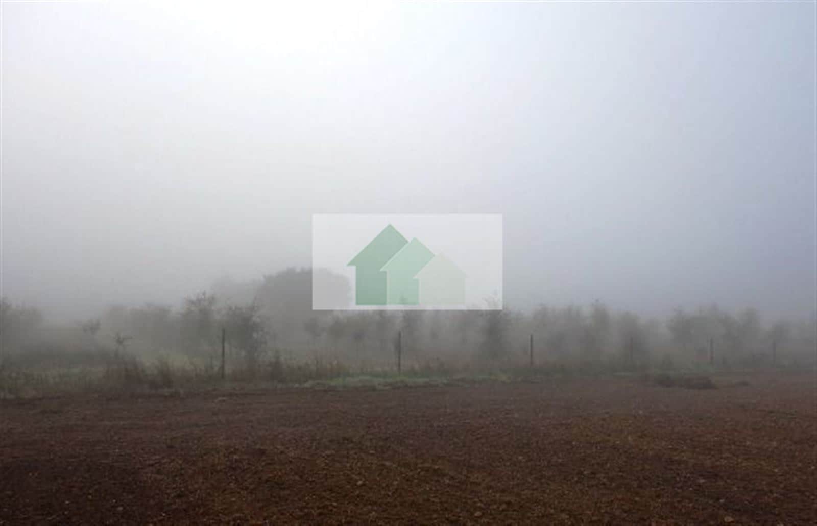 VENTA DE TERRENO VALLADO CON NAVE AGRICOLA .... - Foto 2