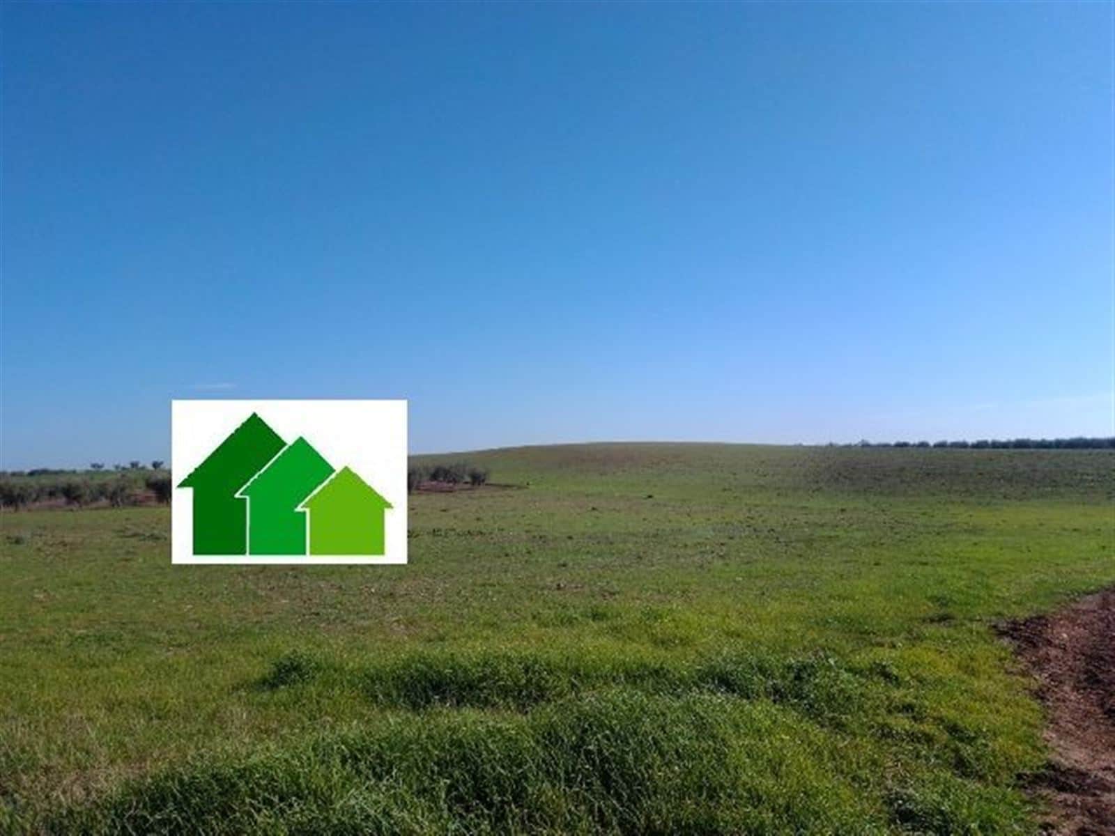 TERRENO MUY CERCANO A LA POBLACIÓN - Foto 1