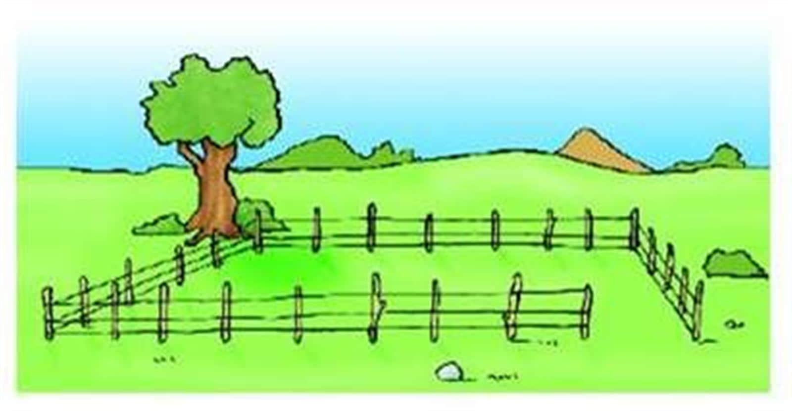 VENTA DE TIERRA DE REGADIO CON POZO - Foto 1