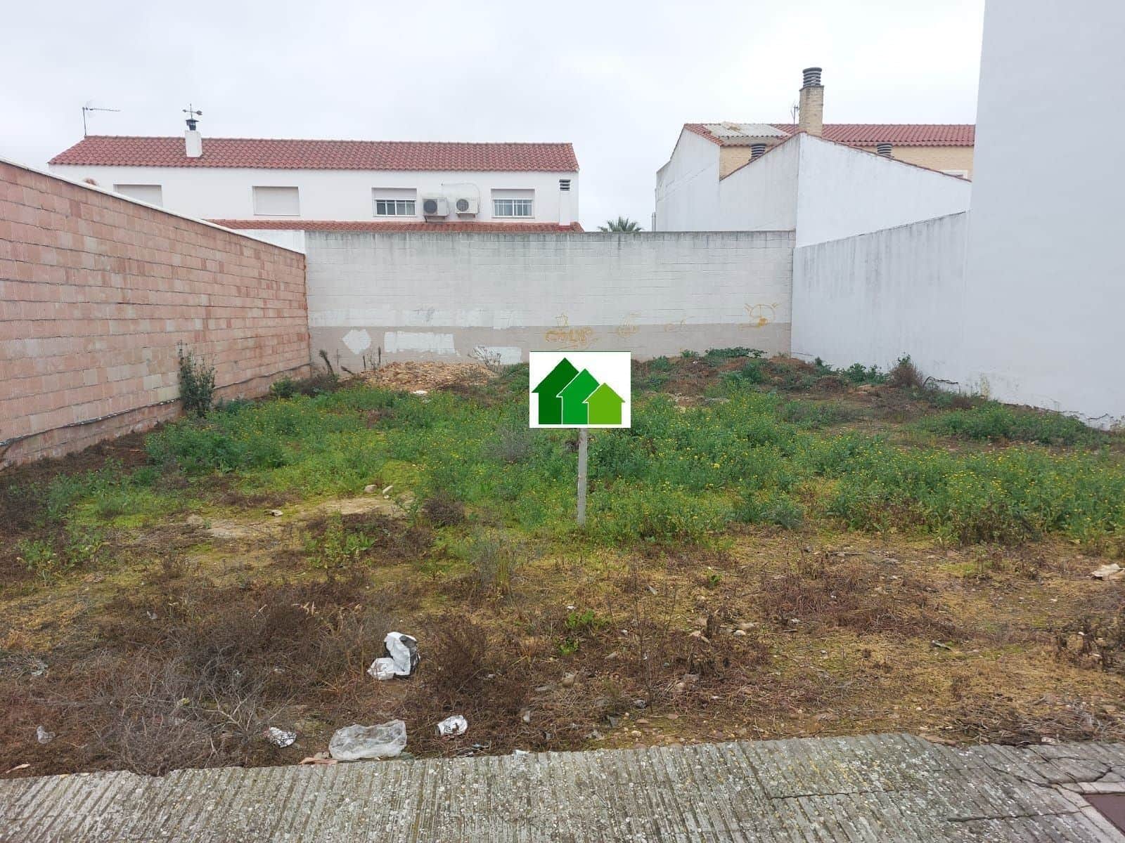 VENTA DE SOLAR EN ZONA SANTO TORIBIO. PUEBLA DE LA CALZADA - Foto 1
