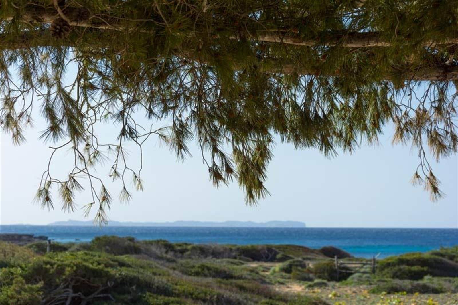 Casita de un dormitorio en plena naturaleza en S'Estanyol - Foto 3