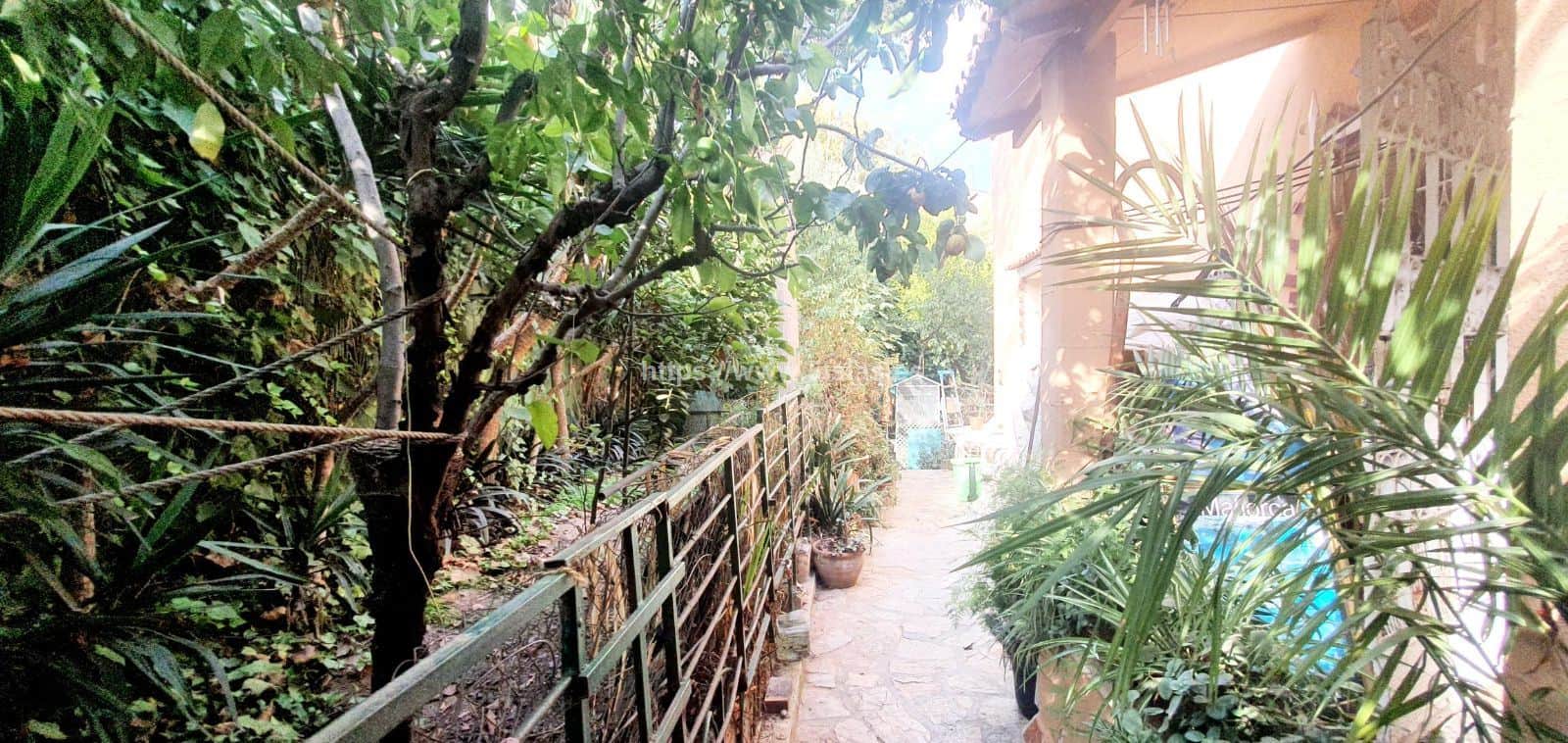 Son Armadams chalet con posibilidad  de construir viviendas - Foto 4