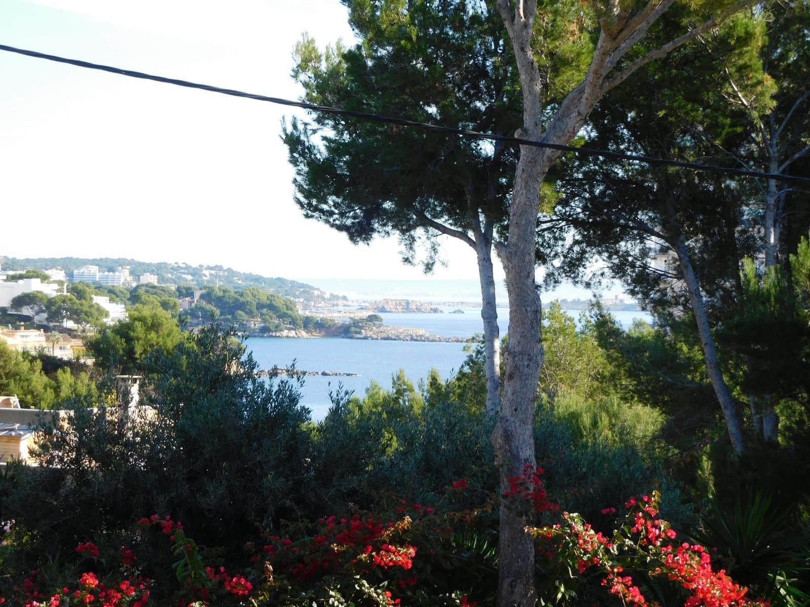 Palma Nova, solar urbano cerca playa - Foto 2