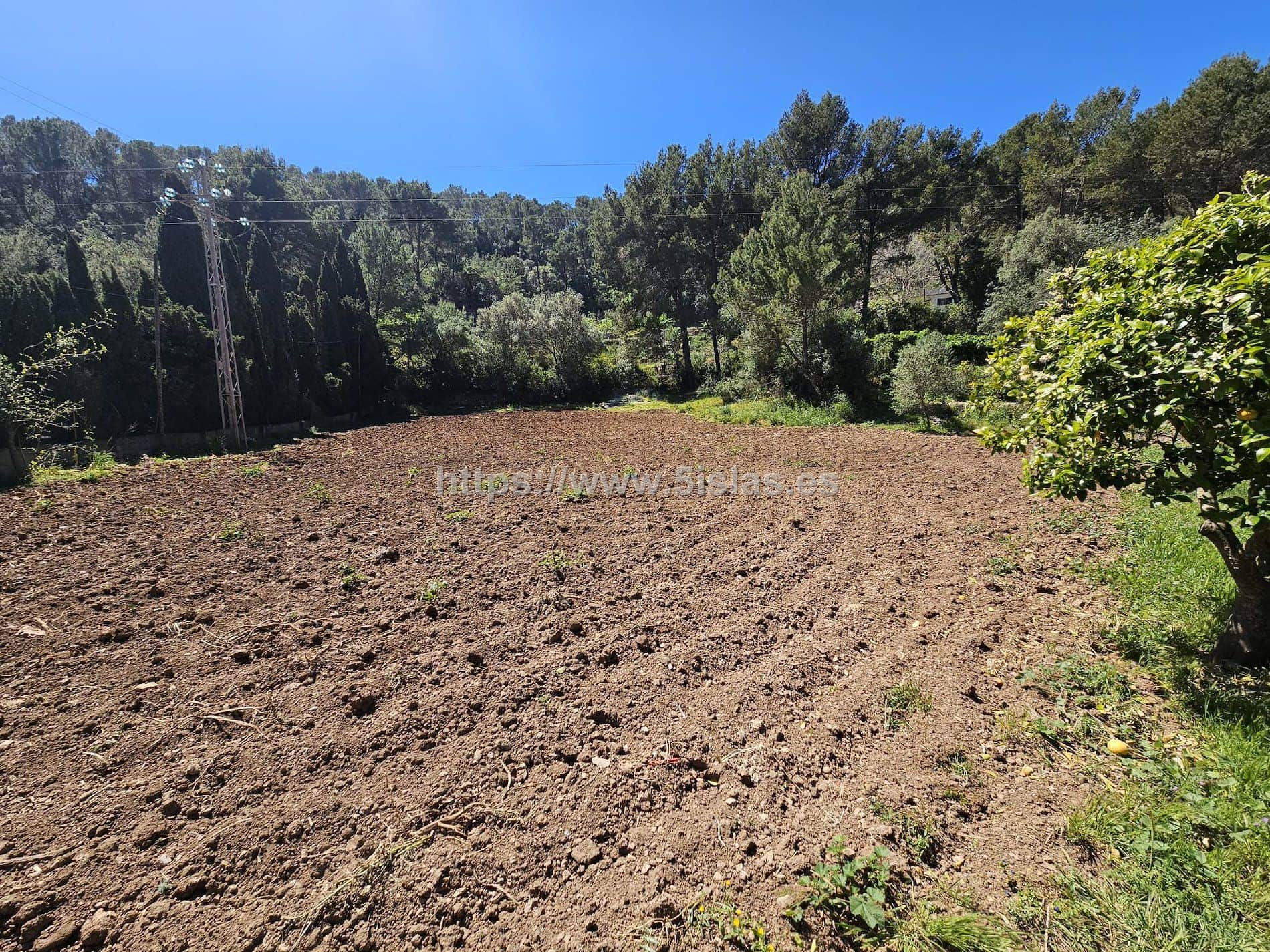 Terreno en venta en Esporles - Foto 4