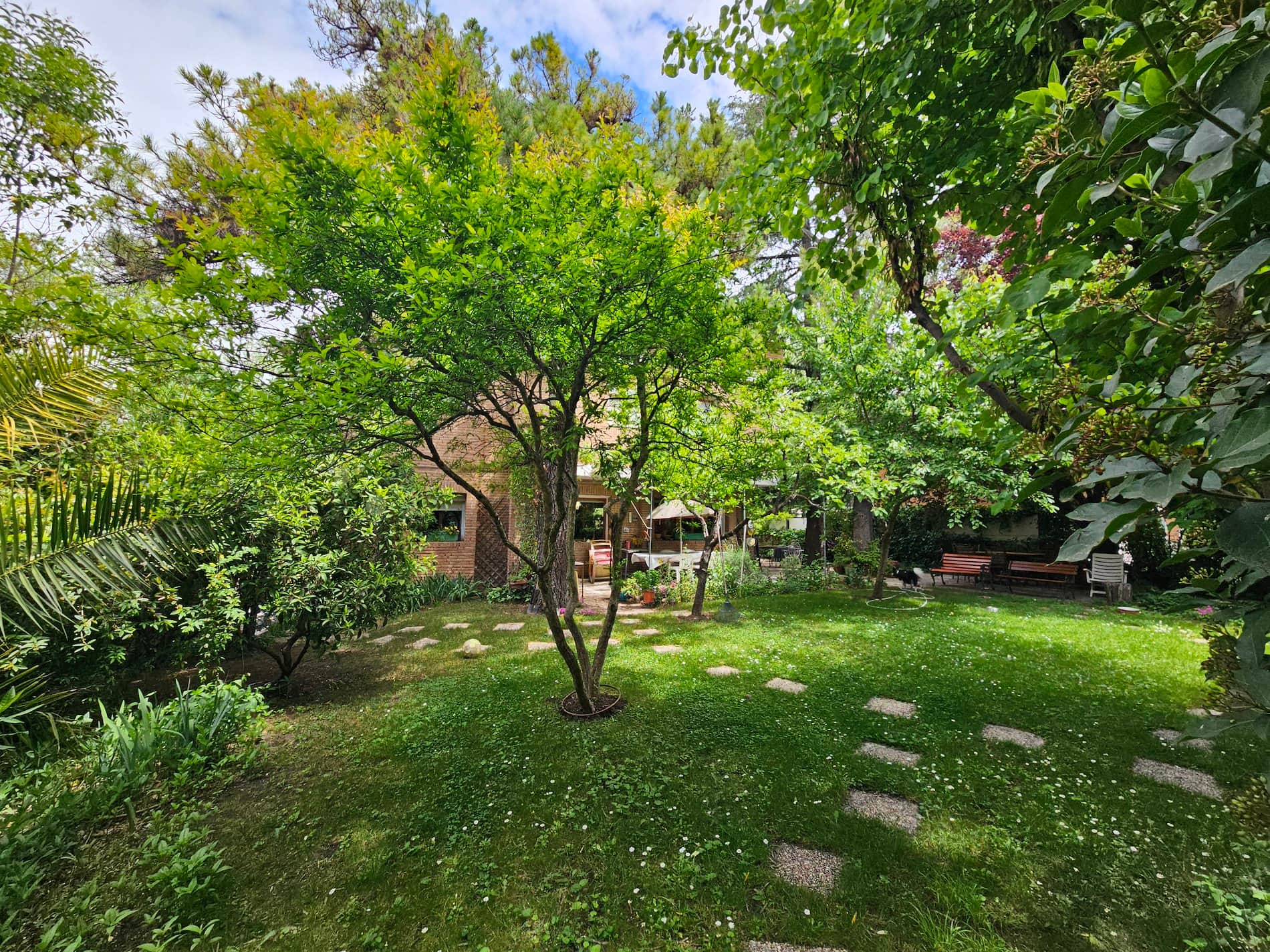 Chalet en venta en Mirasierra, Madrid - Foto 5