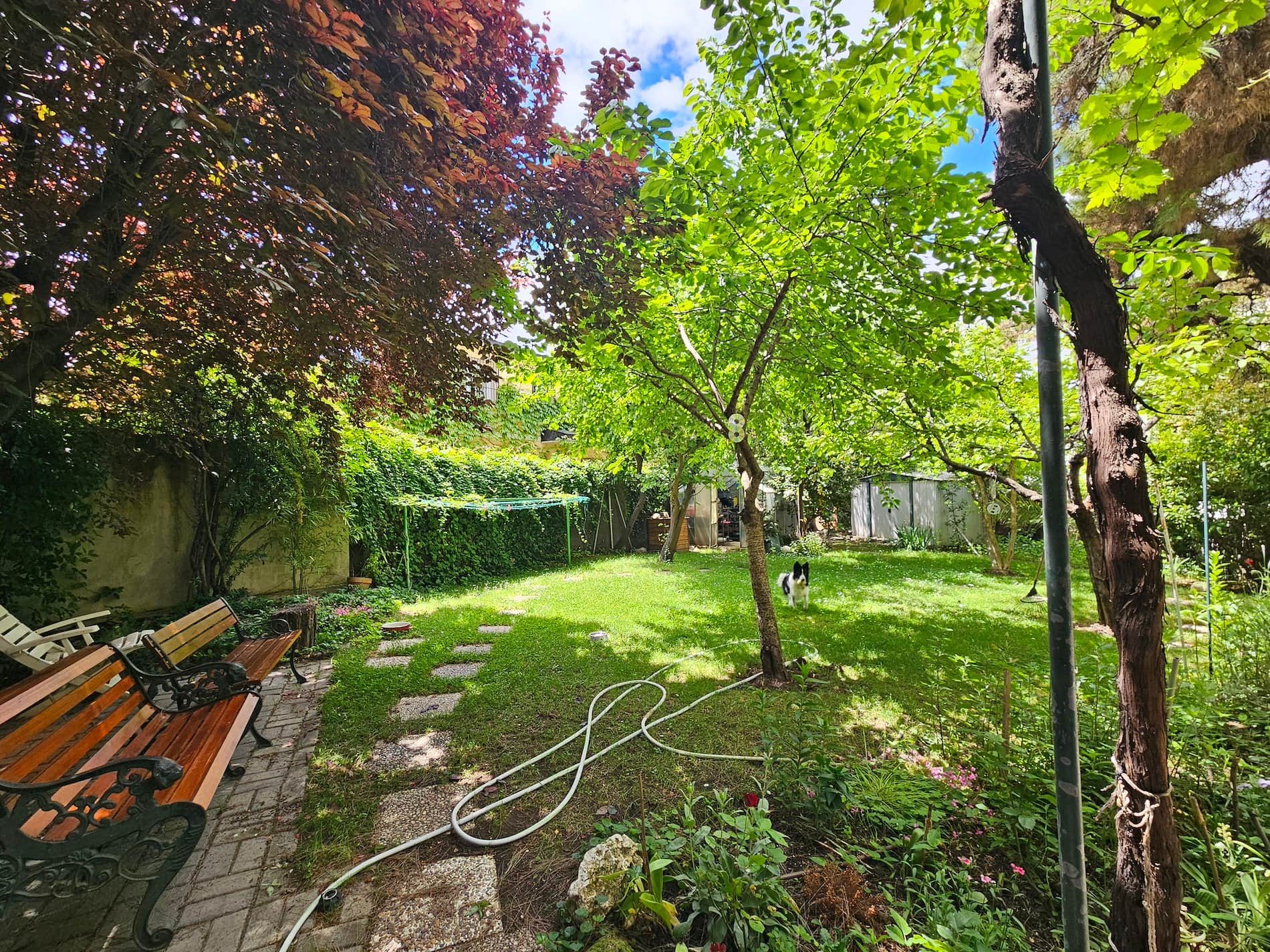 Chalet en venta en Mirasierra, Madrid - Foto 4