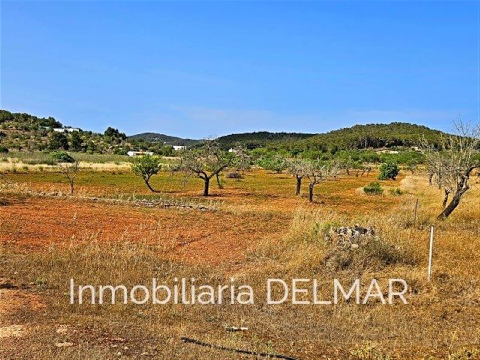 FINCA EN SAN MATEO - Foto 2