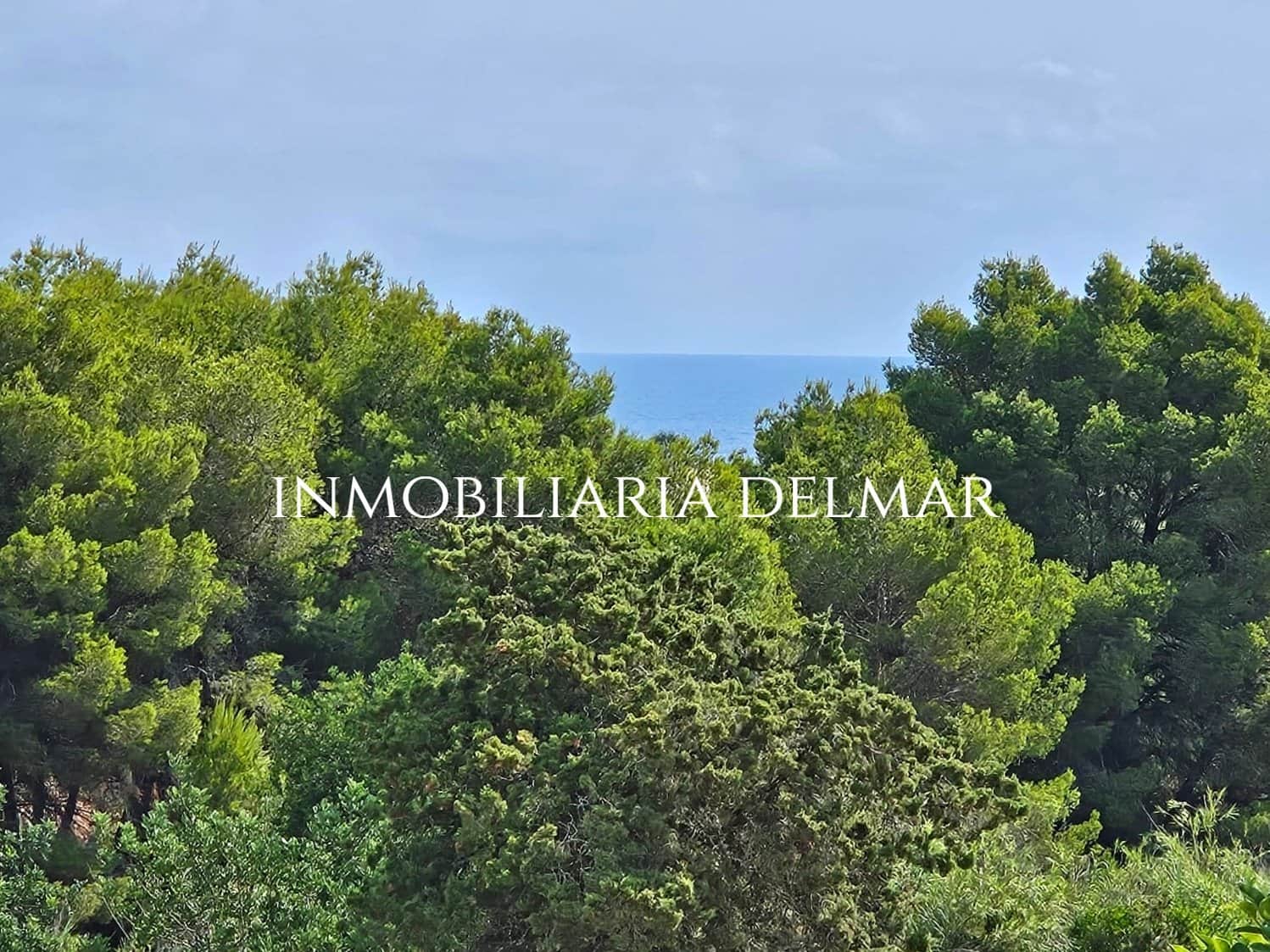 EXCEPCIONAL FINCA REFORMADA - Foto 3