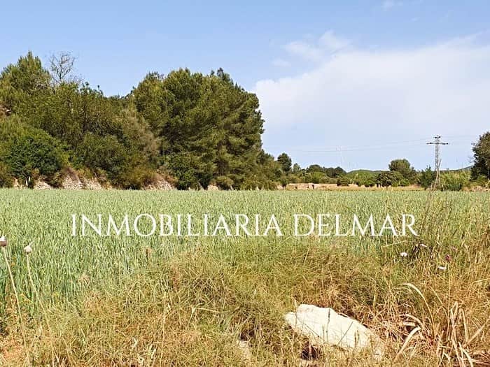 Terreno en venta en Sant Rafael, Sant Antoni de Portmany - Foto 2