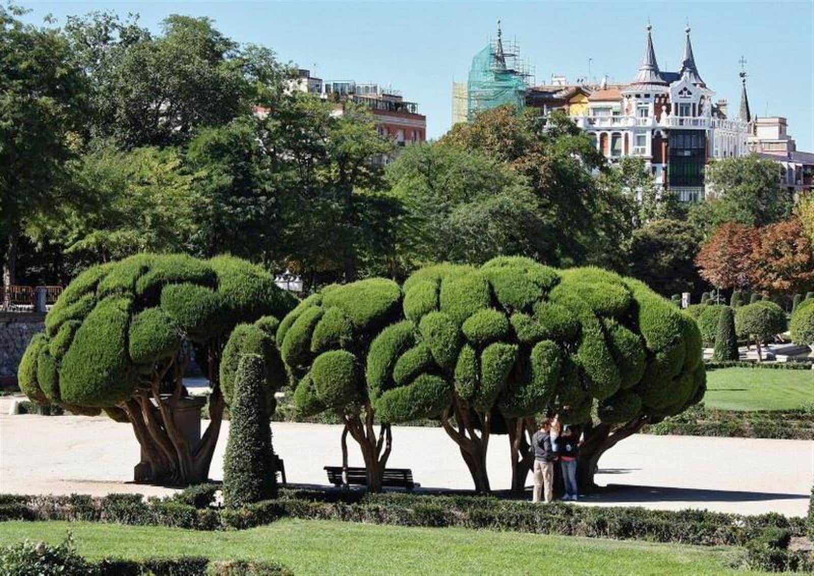 Piso - Retiro, Madrid - Foto 1