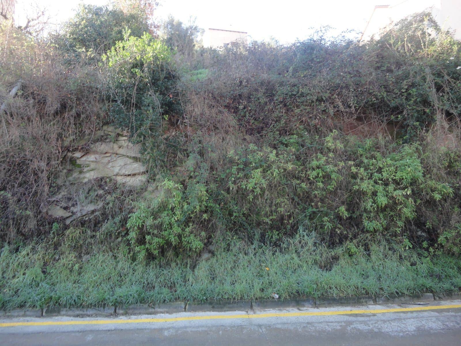 FANTÁSTICO TERRENO EN SANT ANTONI - Foto 4