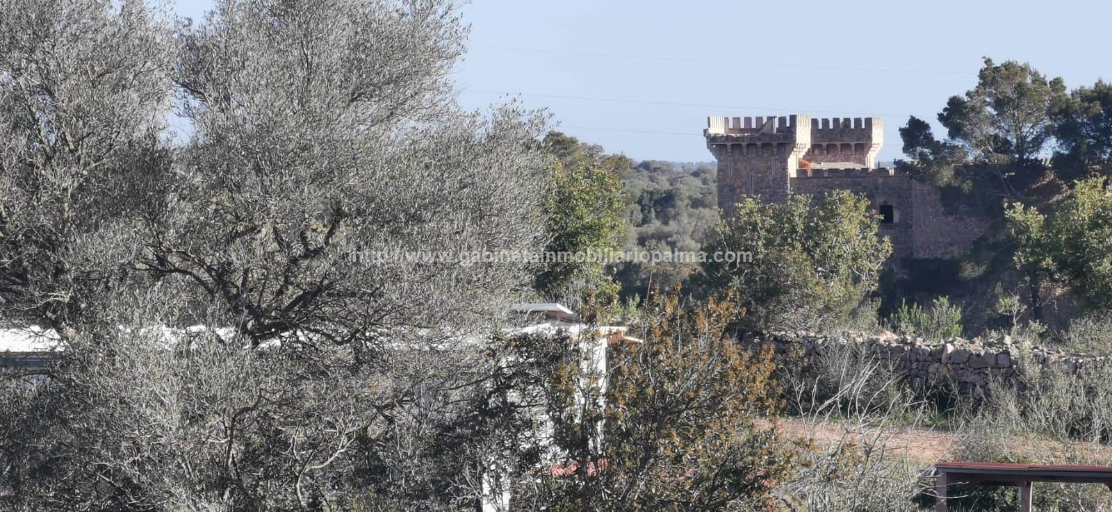 TERRENO EN MARRATXÍ - Foto 5