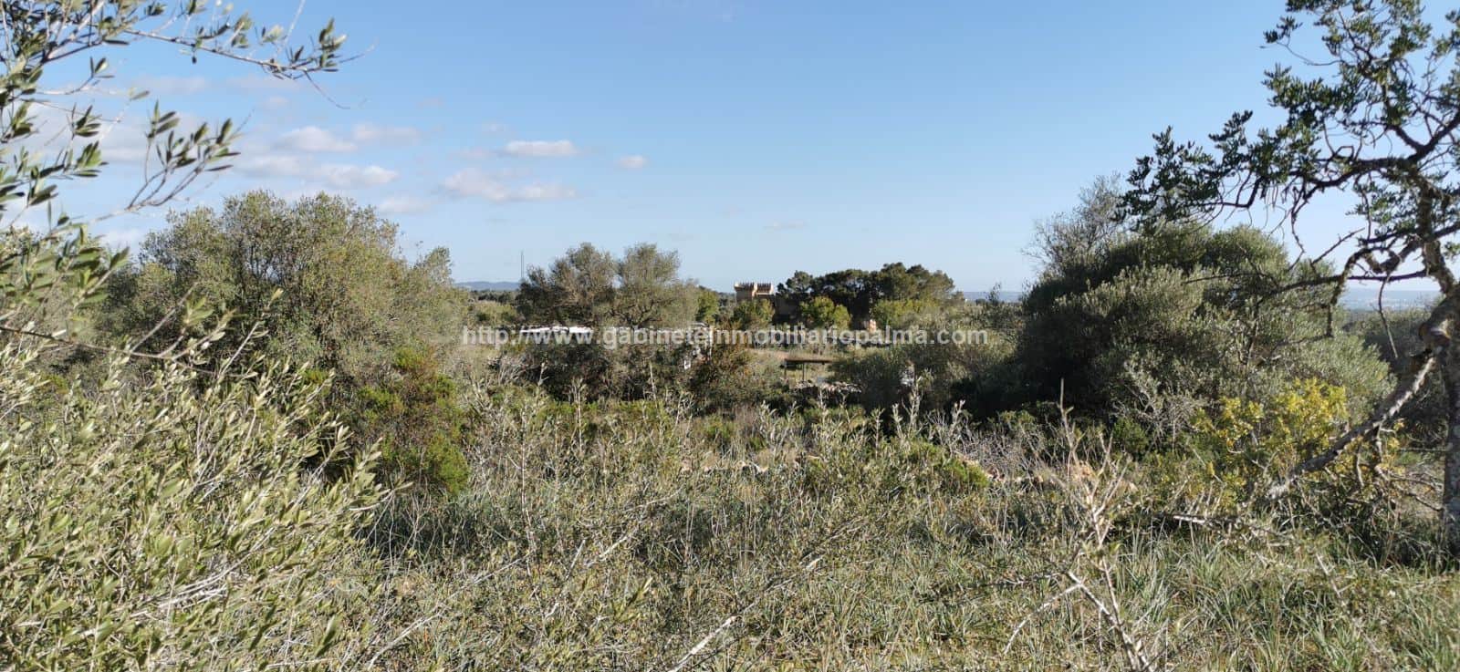 TERRENO EN MARRATXÍ - Foto 4