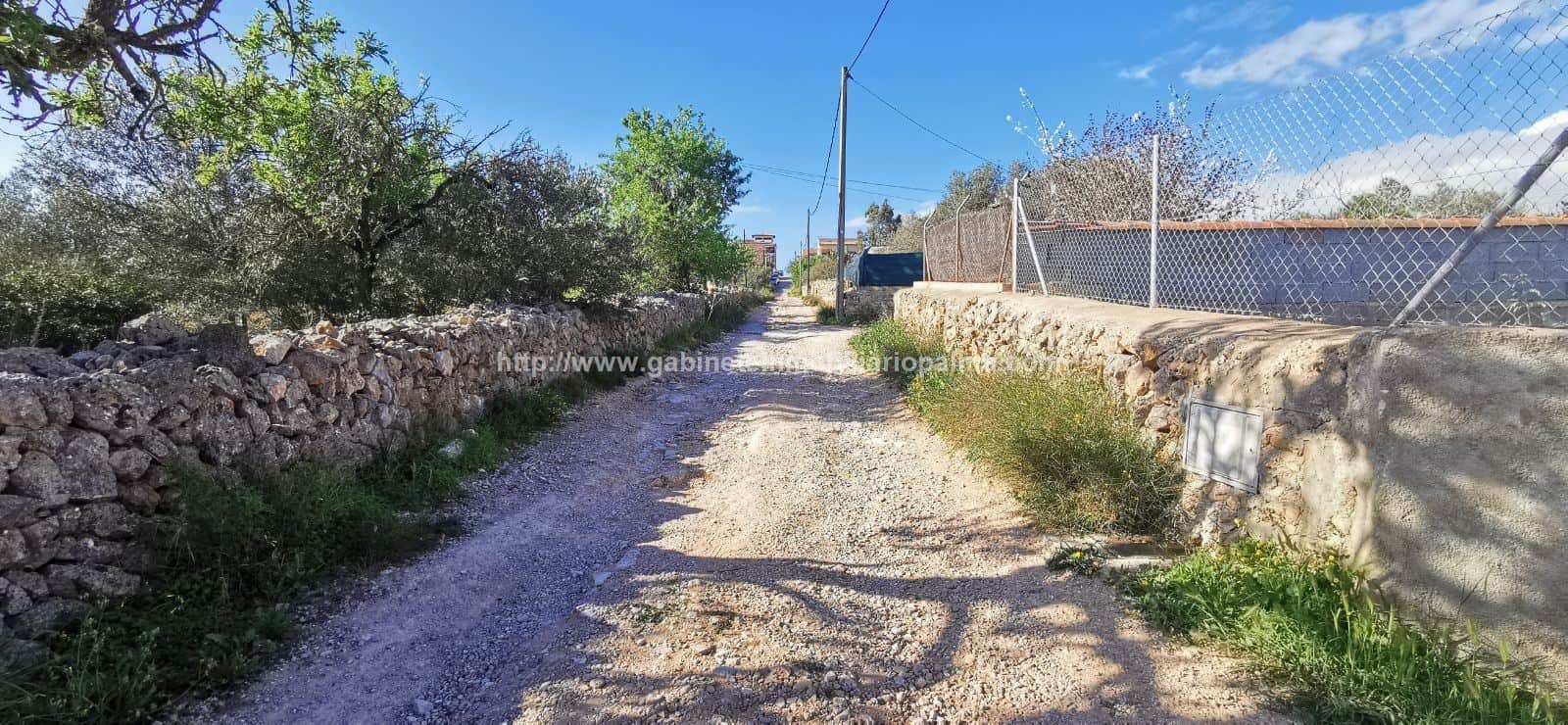 TERRENO EN MARRATXÍ - Foto 2