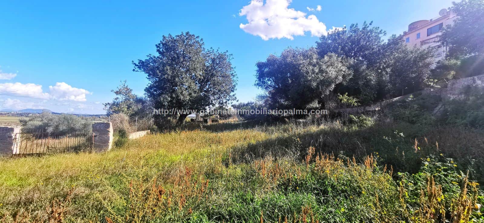 SOLAR EDIFICABLE EN SANTA EUGENIA - Foto 4