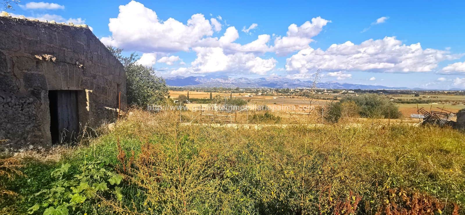 SOLAR EDIFICABLE EN SANTA EUGENIA - Foto 5