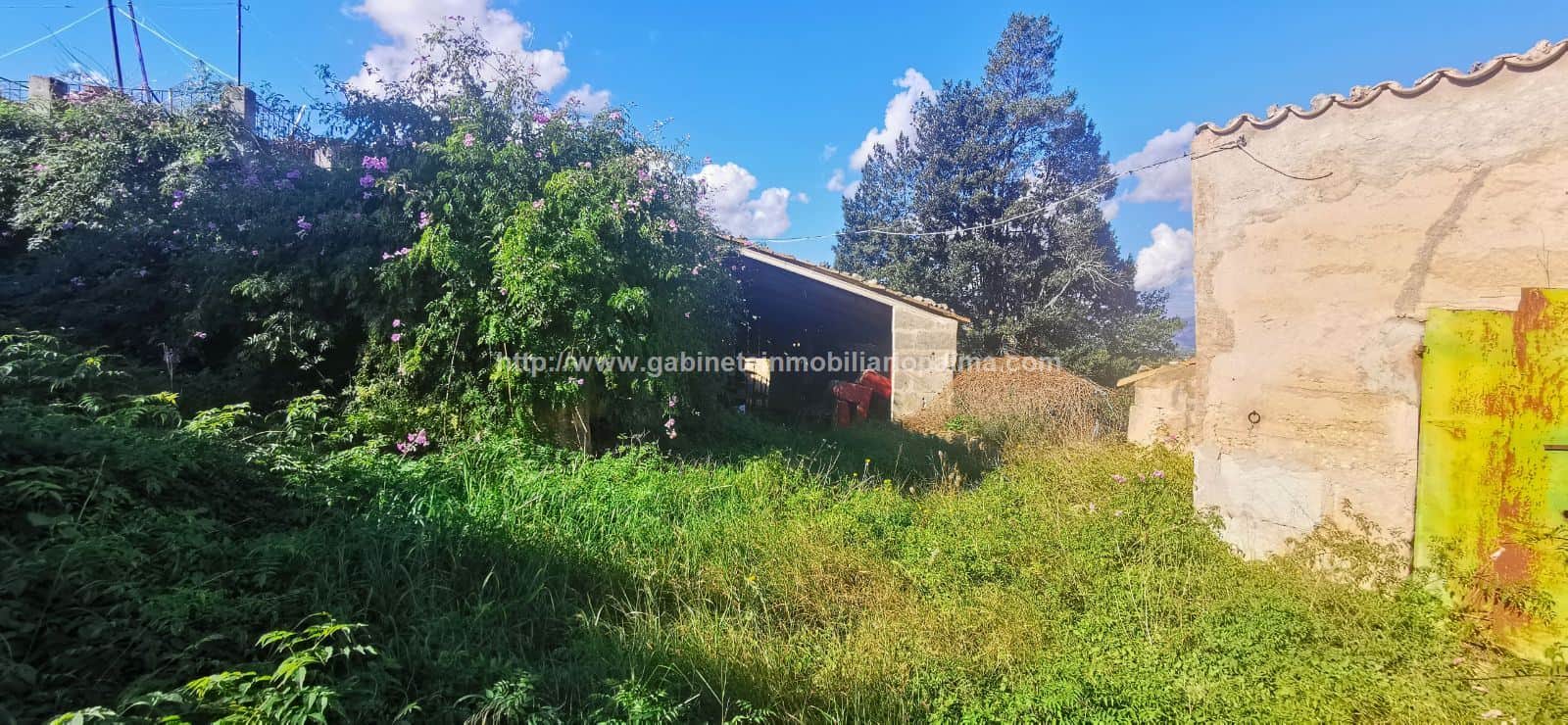 SOLAR EDIFICABLE EN SANTA EUGENIA - Foto 3