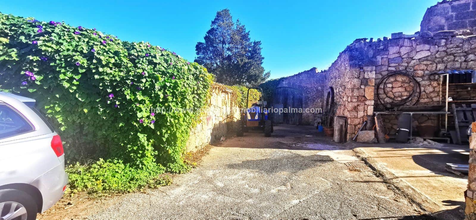 SOLAR EDIFICABLE EN SANTA EUGENIA - Foto 1