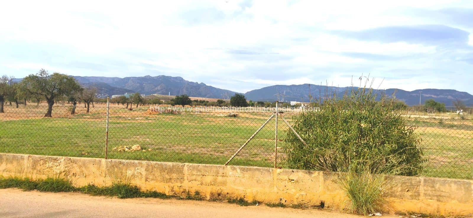 TERRENO RÚSTICO MARRATXÍ - Foto 4