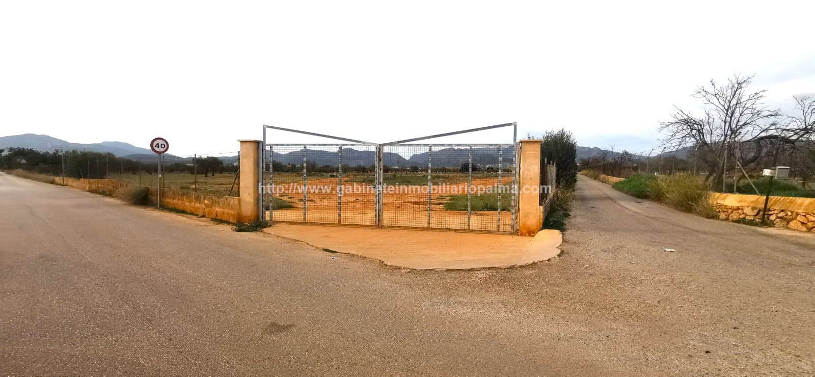 TERRENO RÚSTICO MARRATXÍ - Foto 2