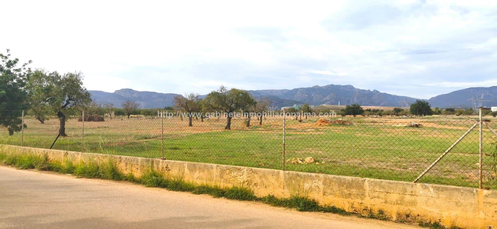 TERRENO RÚSTICO MARRATXÍ - Foto 1