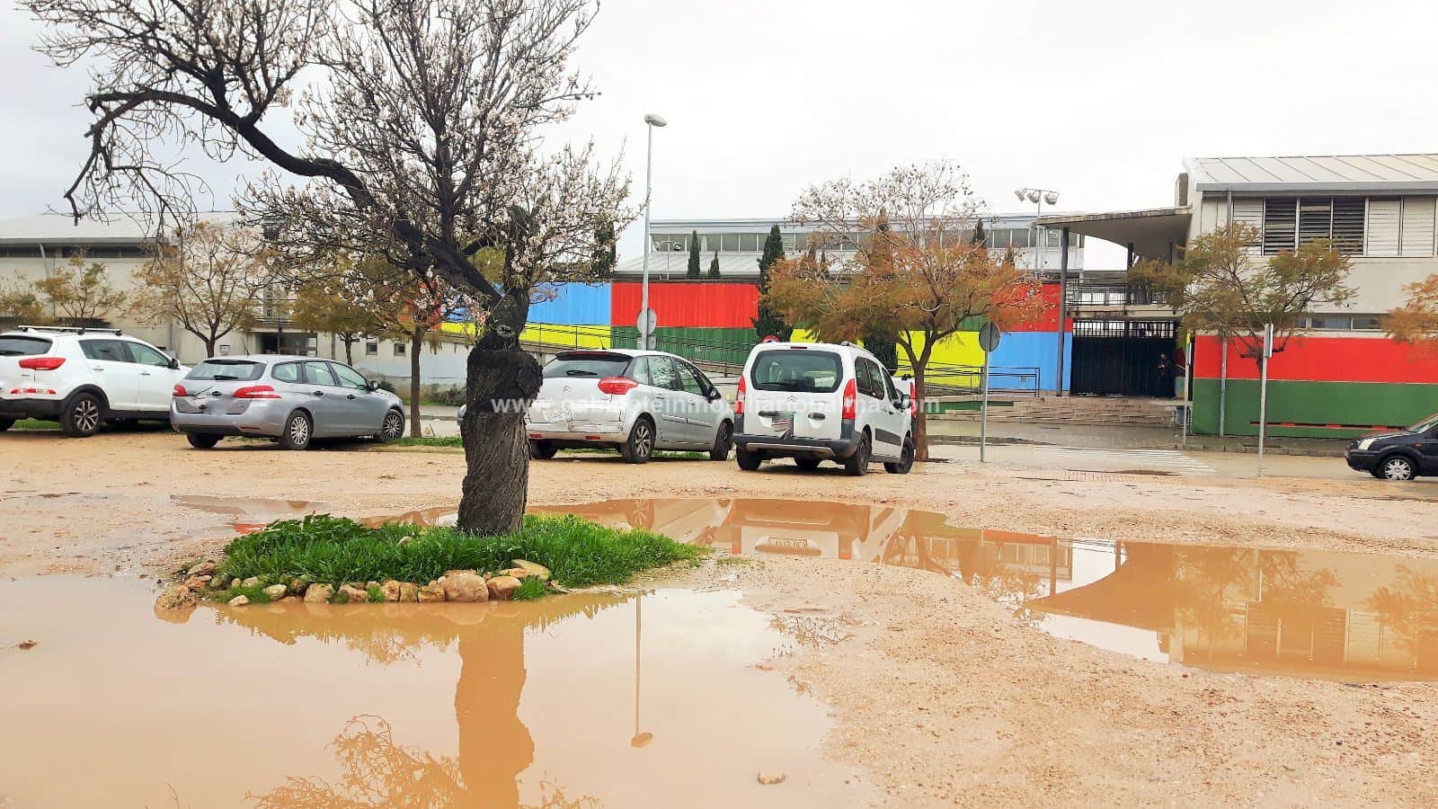 SOLAR POLÍGONO DE MARRATXÍ - Foto 2