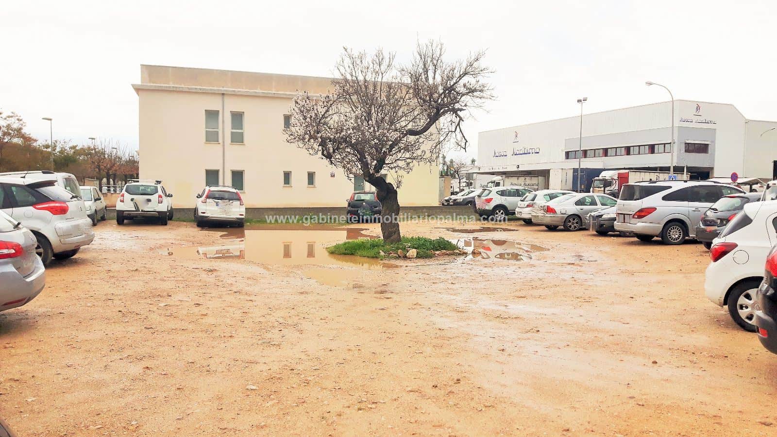 SOLAR POLÍGONO DE MARRATXÍ - Foto 4