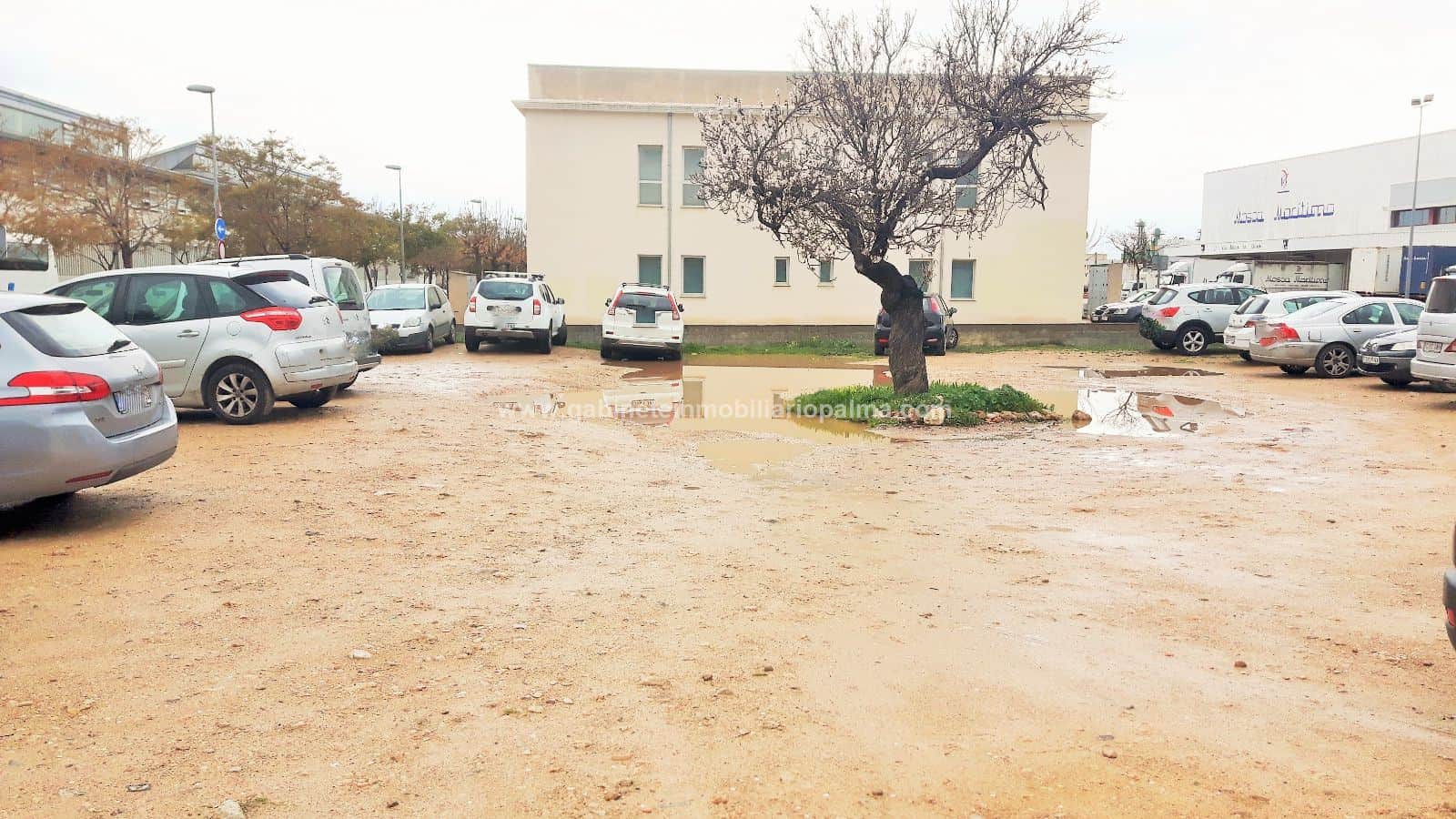 SOLAR POLÍGONO DE MARRATXÍ - Foto 1