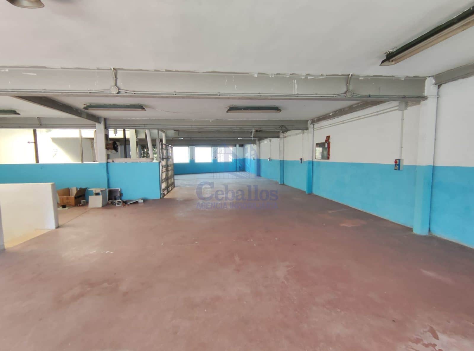 LOCAL FERIAL - Foto 4