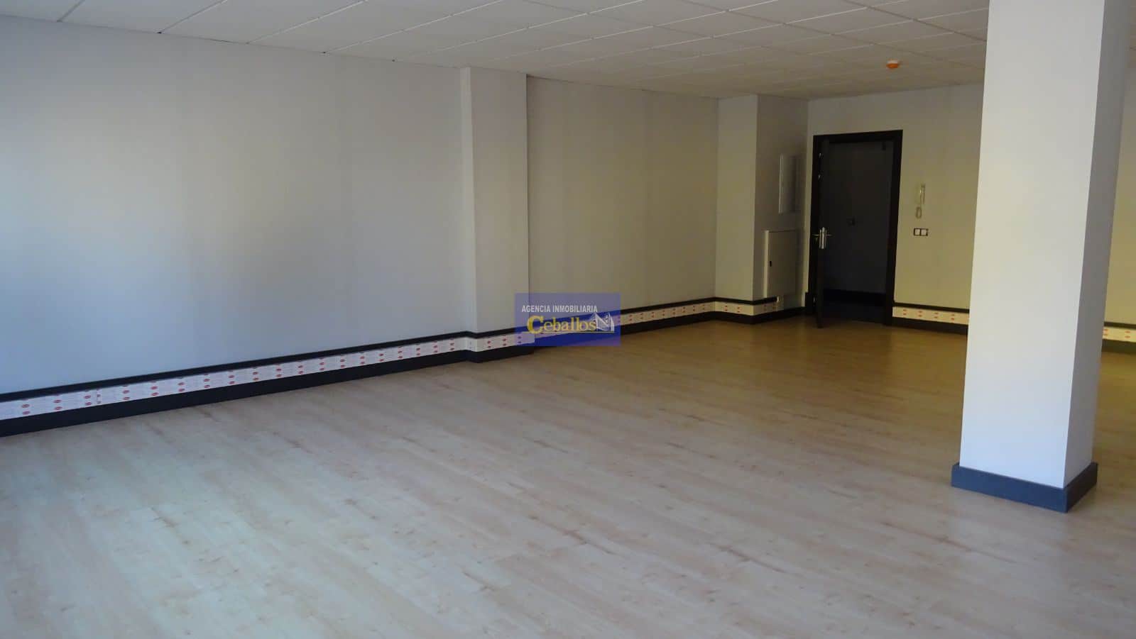 Local Comercial - Francisco Aritio 2 - Guadalajara - Foto 5