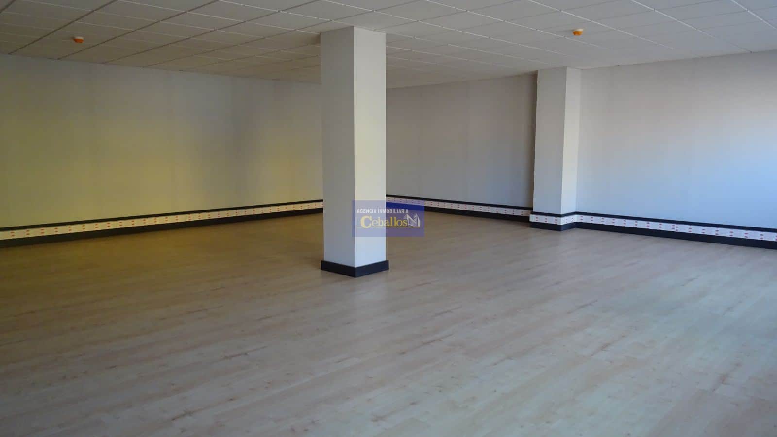 Local Comercial - Francisco Aritio 2 - Guadalajara - Foto 1