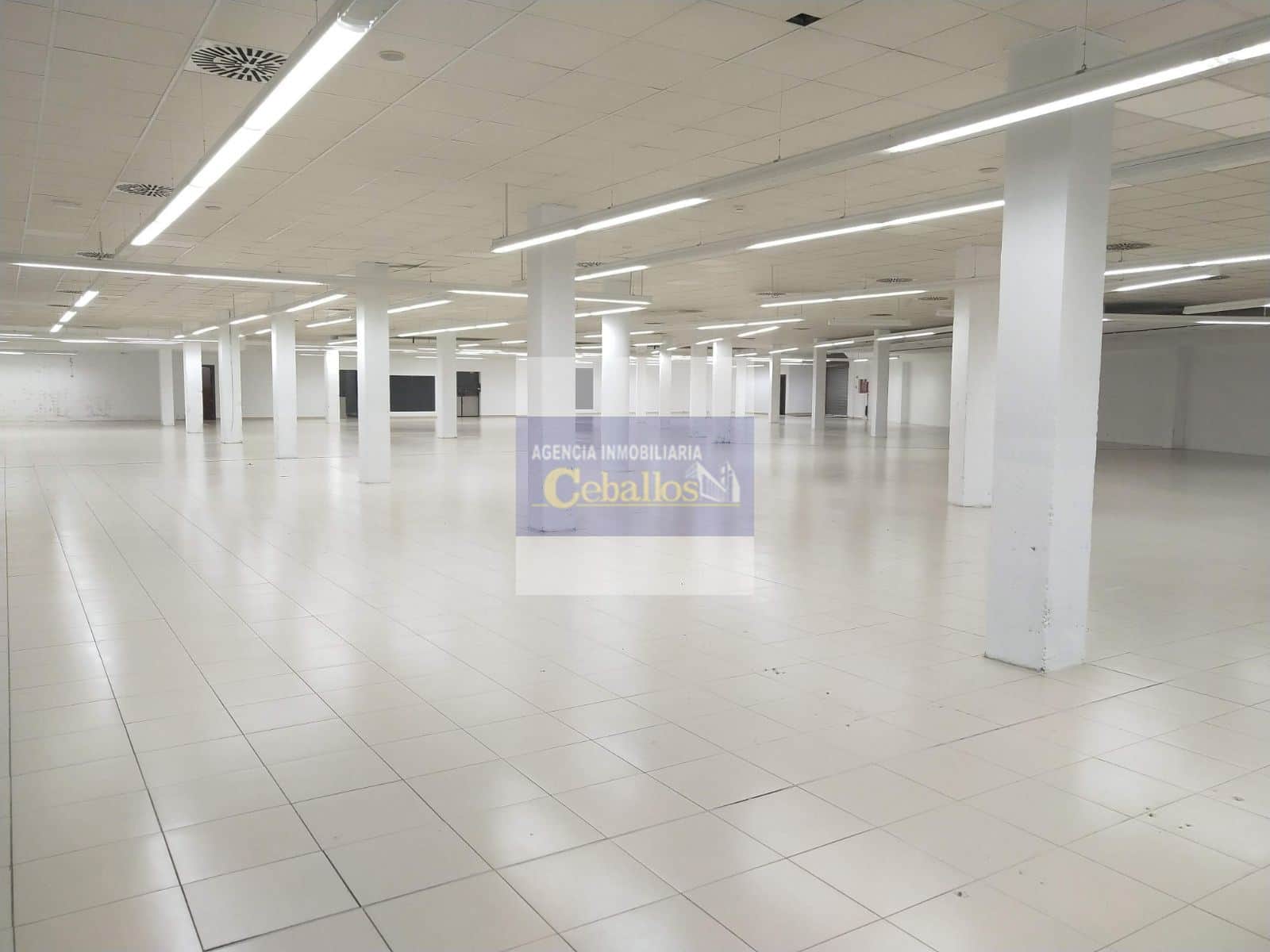 LOCAL COMERCIAL ALQUILER  CABANILLAS DEL CAMPO - Foto 4