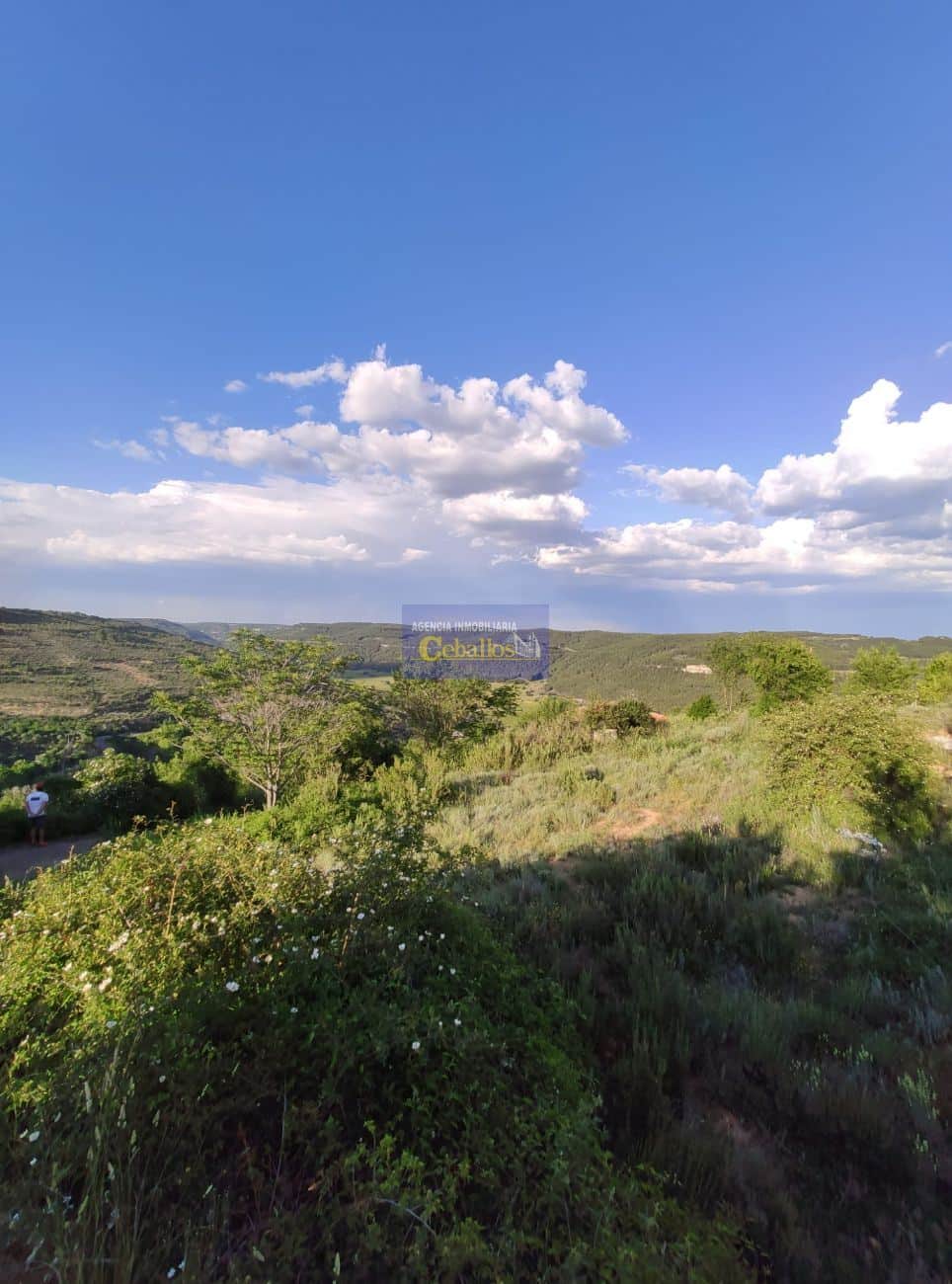 Terreno - Camino La Pililla - Horche - Foto 1