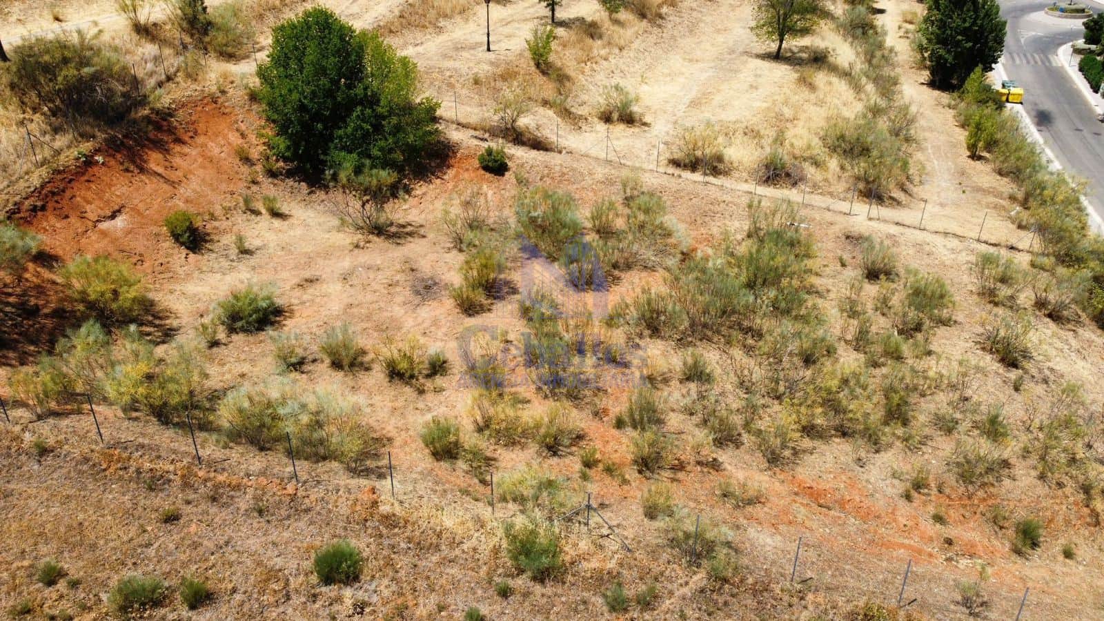 Parcela Exclusiva en Cabanillas del Campo: ¡Tu Proyecto Residencial Comienza Aquí! - Foto 3