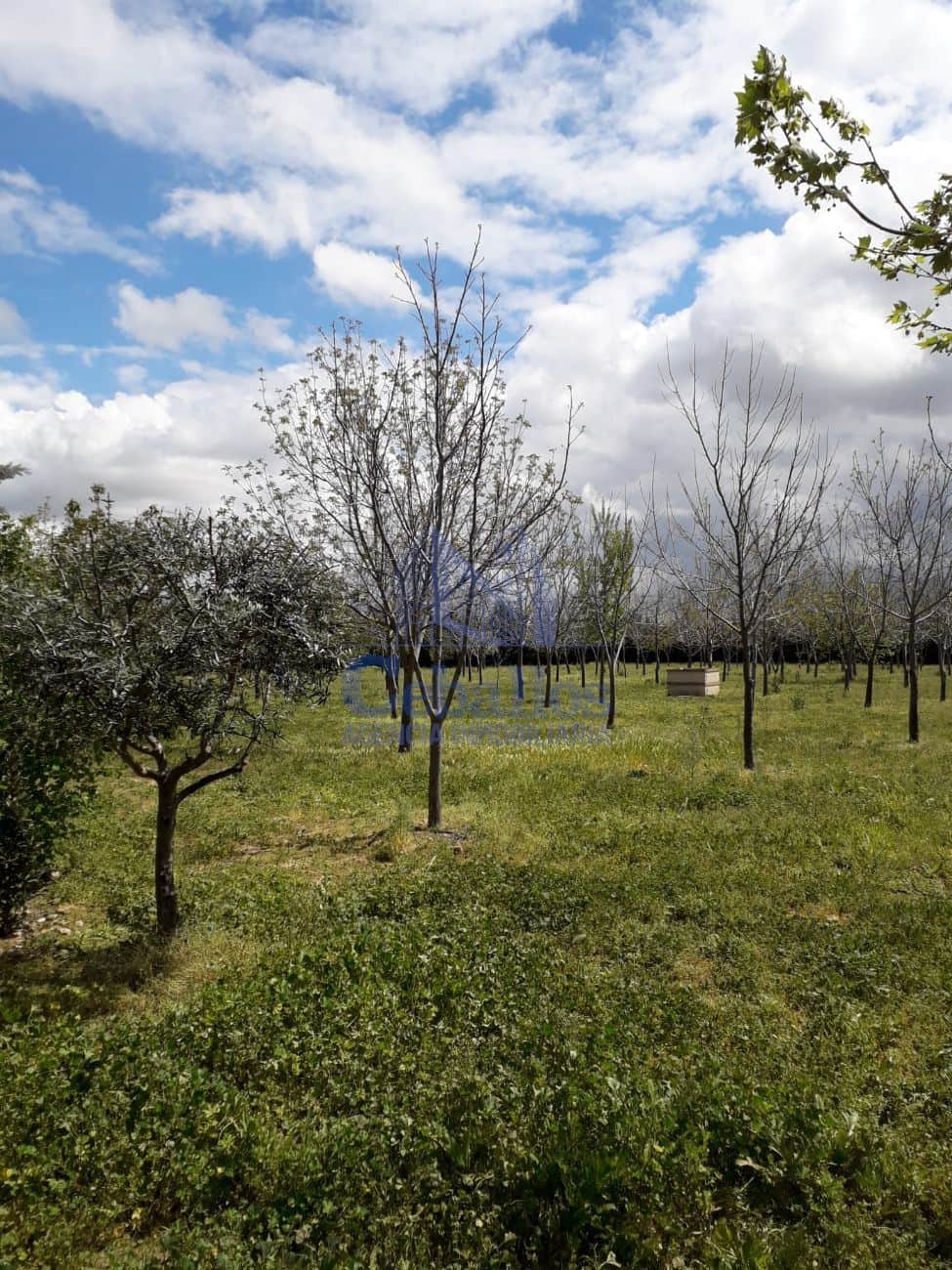 ¡Finca urbanizable de 9.017 m² en Humanes de Mohernando con múltiples posibilidades! - Foto 4