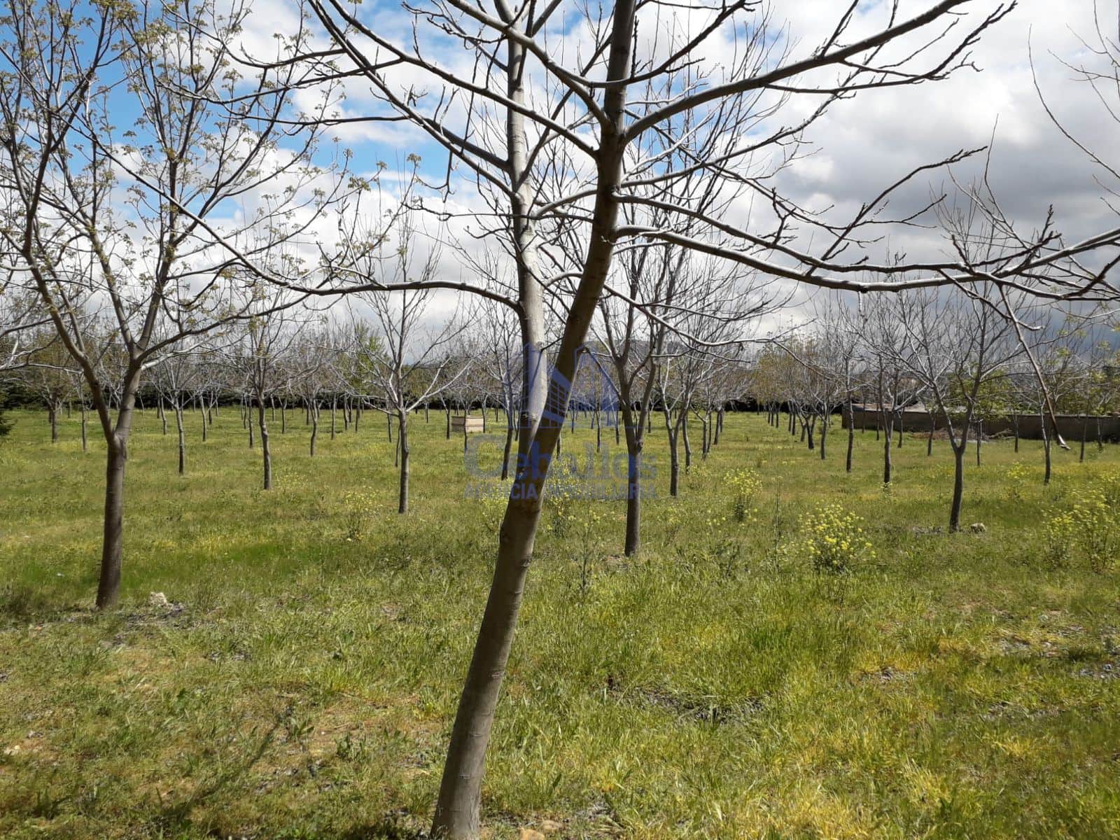 ¡Finca urbanizable de 9.017 m² en Humanes de Mohernando con múltiples posibilidades! - Foto 2