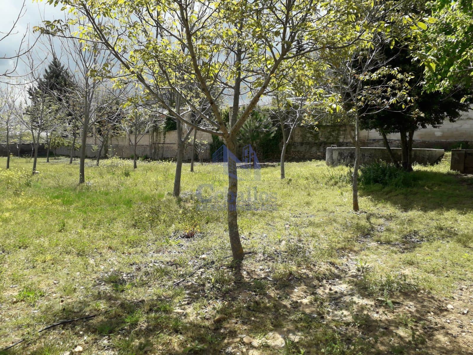 ¡Finca urbanizable de 9.017 m² en Humanes de Mohernando con múltiples posibilidades! - Foto 3