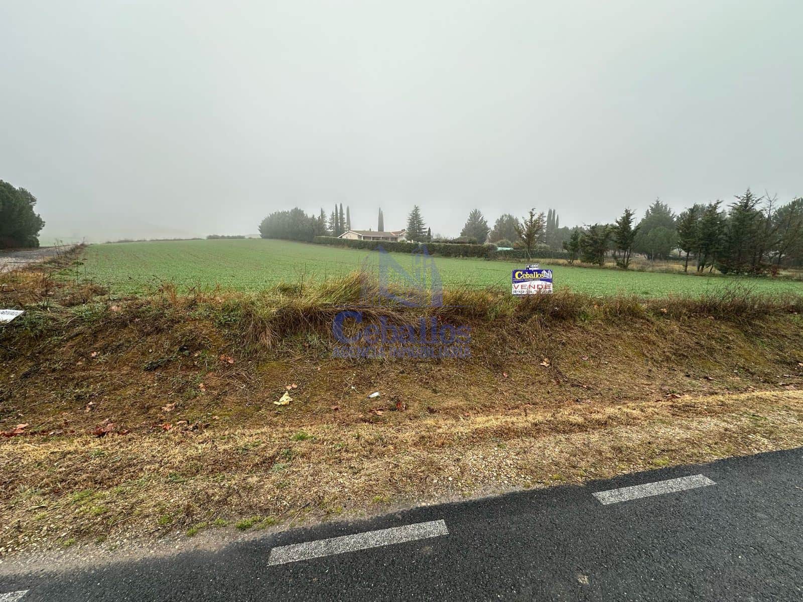 🌳 Parcela Urbanizable en Heras de Ayuso – Una Oportunidad Única para Inversores y Desarrolladores - Foto 1