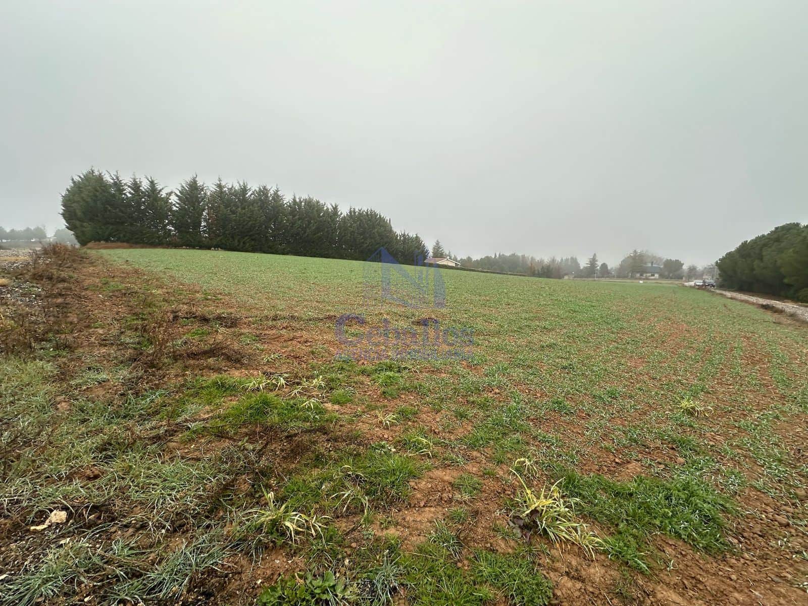 🌳 Parcela Urbanizable en Heras de Ayuso – Una Oportunidad Única para Inversores y Desarrolladores - Foto 4