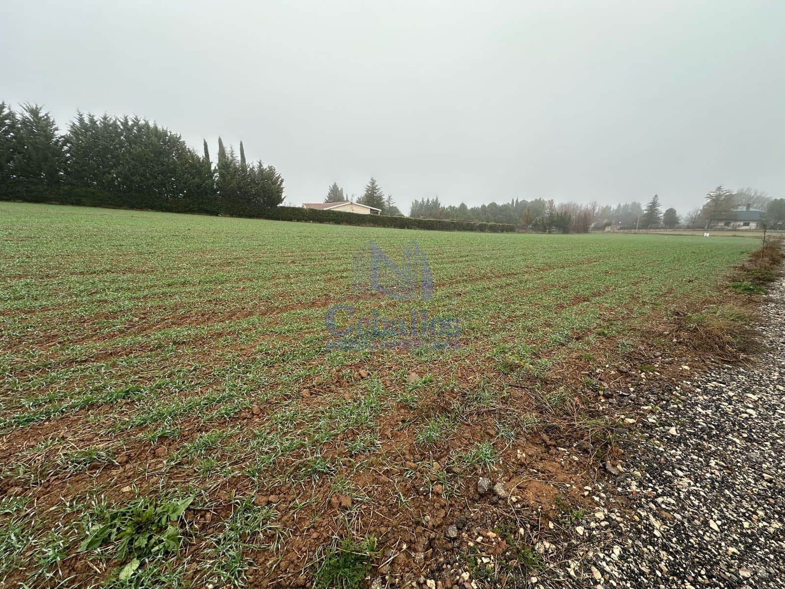 🌳 Parcela Urbanizable en Heras de Ayuso – Una Oportunidad Única para Inversores y Desarrolladores - Foto 2