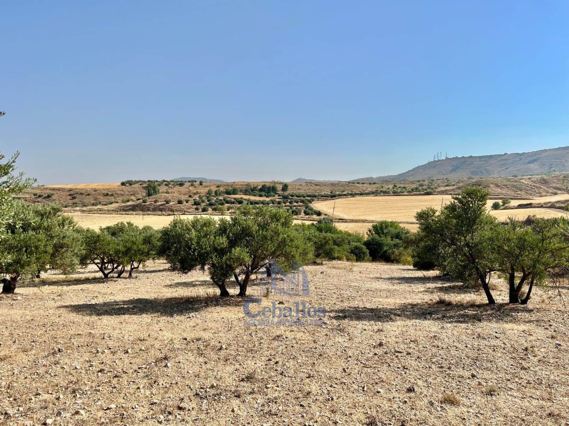 🌳 Terreno Rústico con Nave – Oportunidad Única en Zona de Expansión de Guadalajara - Foto 3