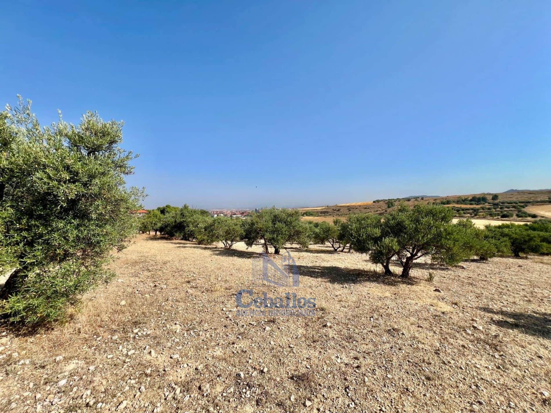 🌳 Terreno Rústico con Nave – Oportunidad Única en Zona de Expansión de Guadalajara - Foto 2