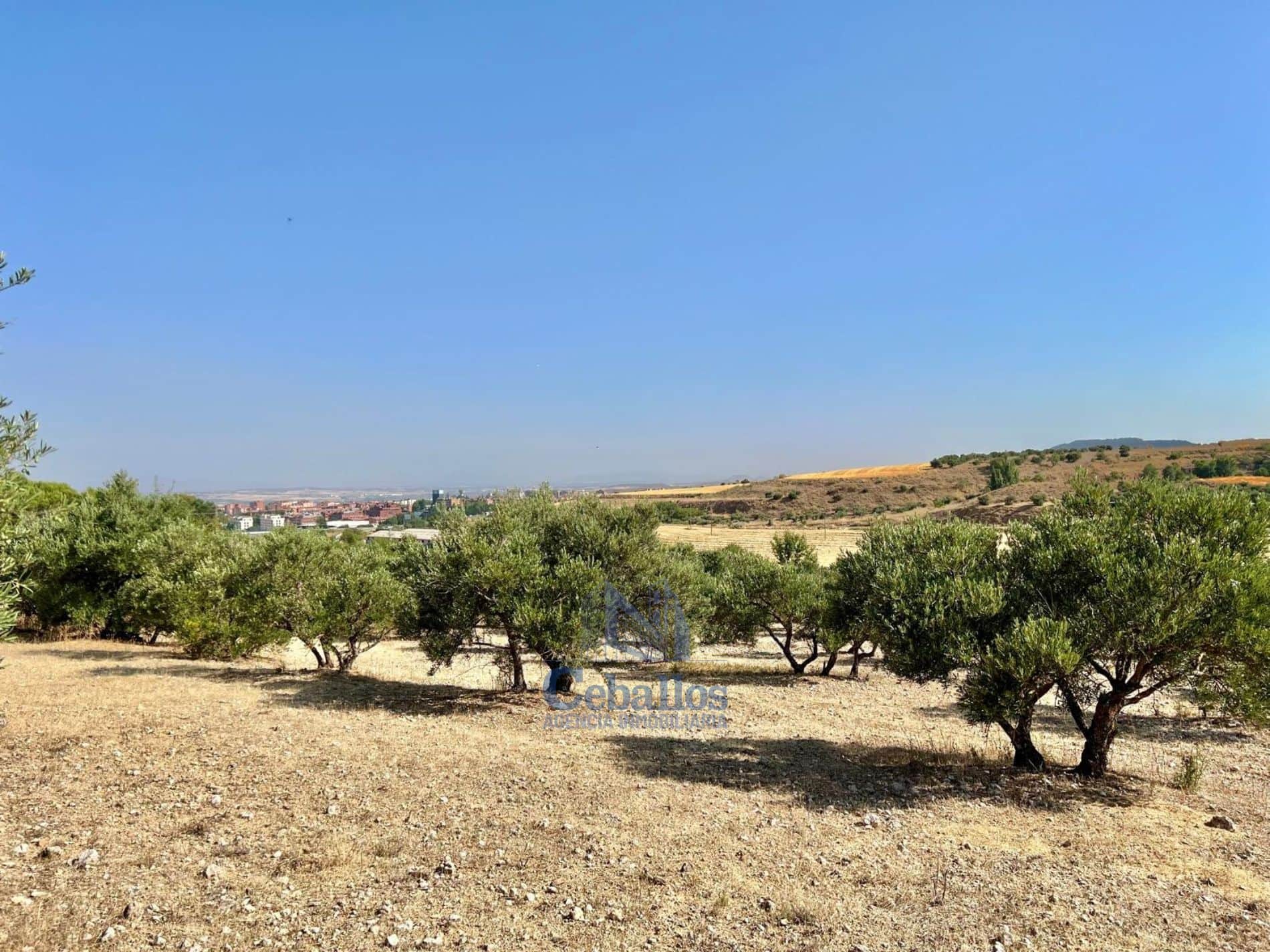 🌳 Terreno Rústico con Nave – Oportunidad Única en Zona de Expansión de Guadalajara - Foto 4